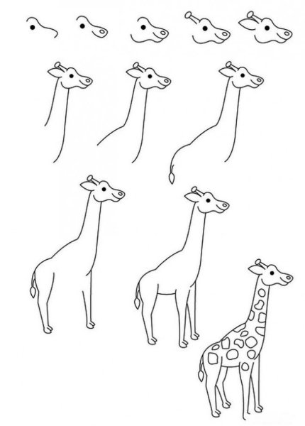 Пошаговый рисунок жирафа
