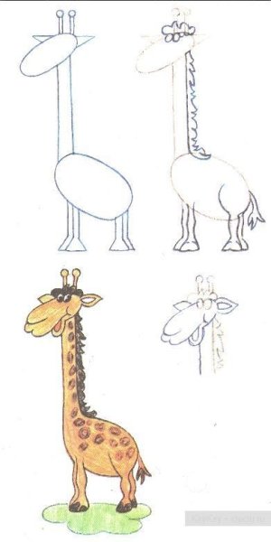 Поэтапное рисование жирафа
