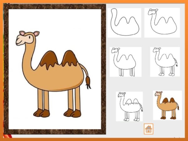 Рисуем верблюда поэтапно