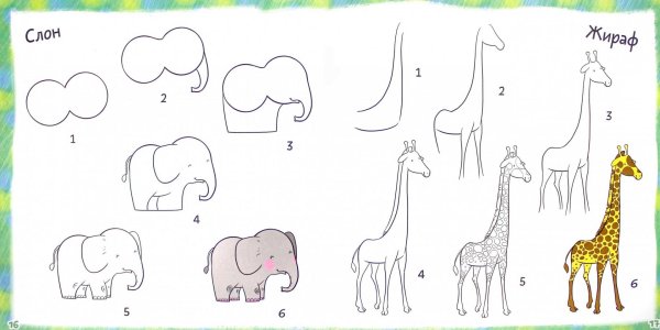 Поэтапное рисование для дошкольников