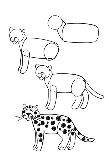 Животные зоопарка поэтапно