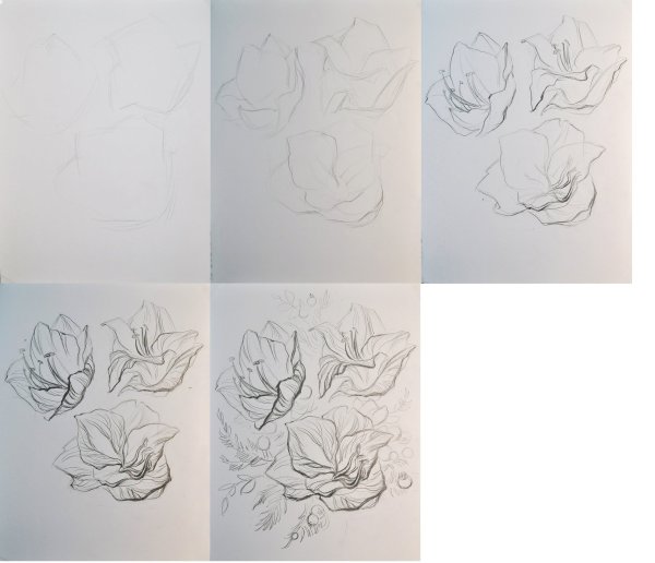 Поэтапные рисунки цветов карандашом