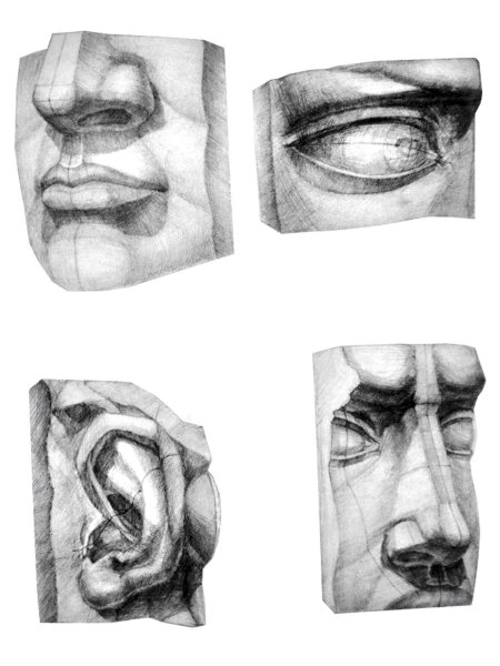 Части лица Давида