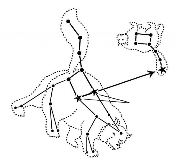 Созвездие большая Медведица схема созвездия