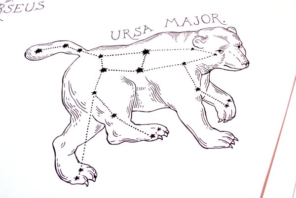 Раскраска Созвездие большая Медведица