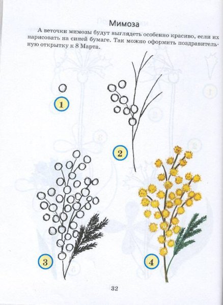 Веточка мимозы для рисования детям