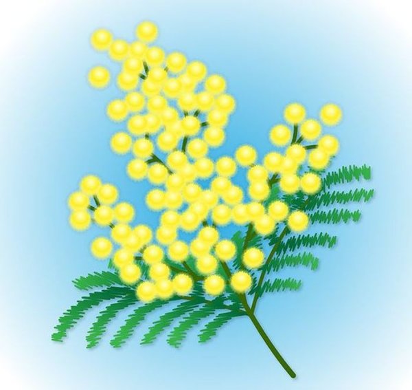 Веточка мимозы для детей