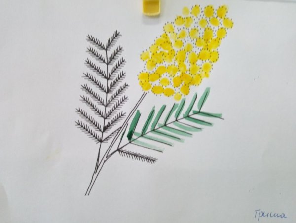 Мимоза пуантилизм