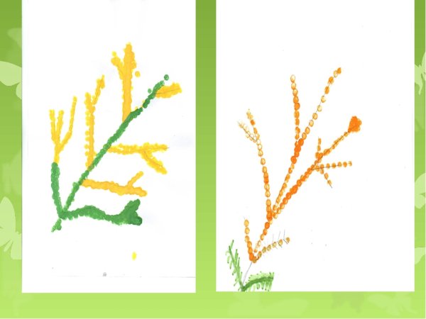 Рисование ветки мимозы ватными палочками