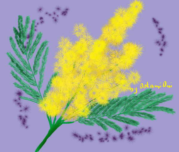 Веточка мимозы