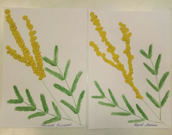 Ветка мимозы аппликация