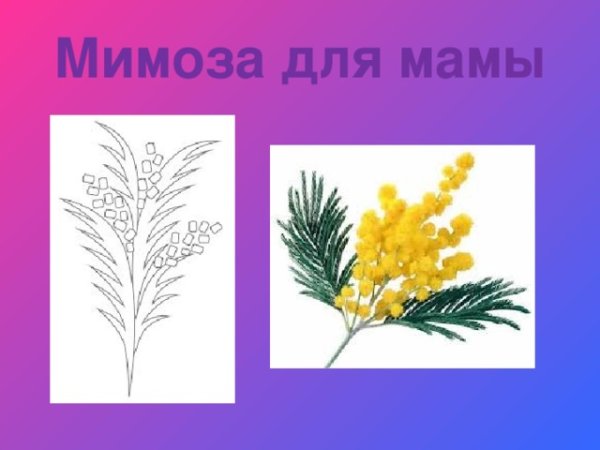 Слово Мимоза по схеме