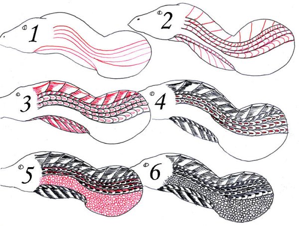 Чешуя дракона эскиз