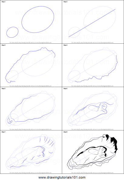Рисование ракушки поэтапно