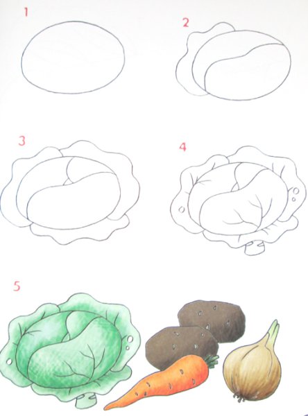 Поэтапное рисование капусты