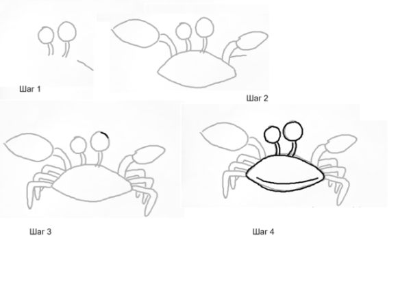 Рисование пошагово для детей Крабик