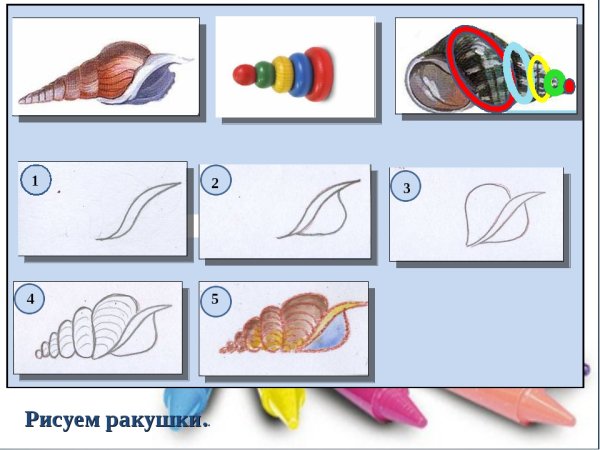 Рисование ракушки презентация