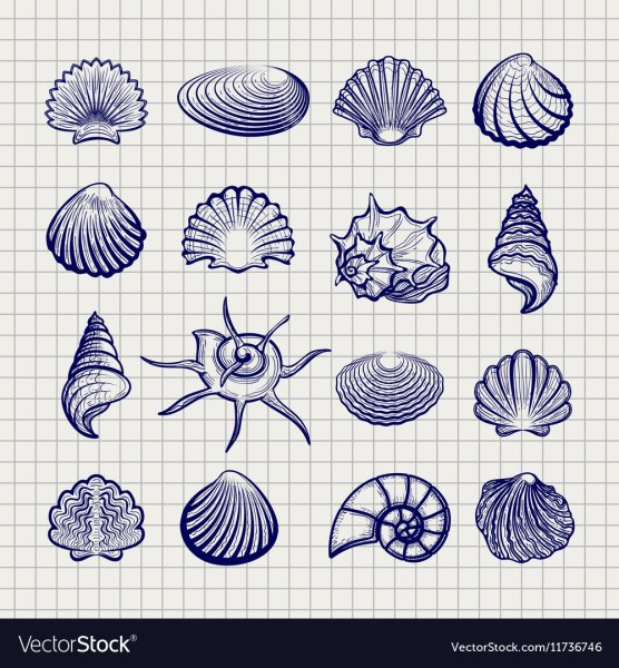 Стилизация формы Ракушка