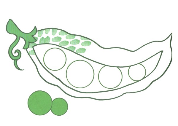 Горох раскраска