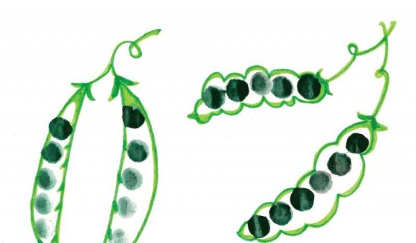 Акварельный рисунок горох