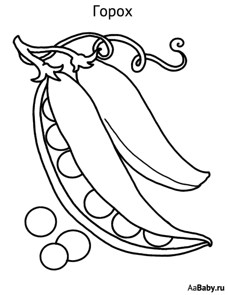 Этапы созревания гороха