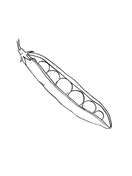 Раскраска горошек