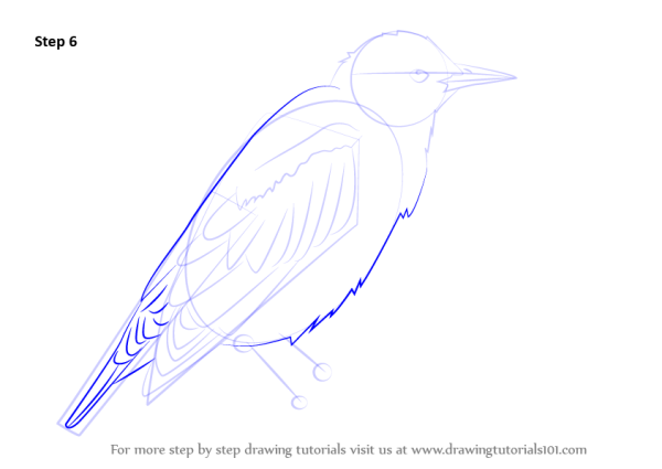Поэтапное рисование скворца