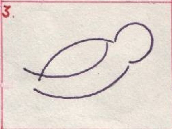 Этапы рисования скворца