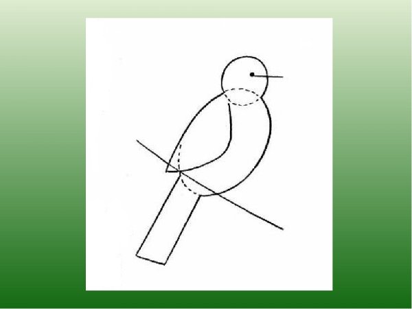 Поэтапное рисование скворечника