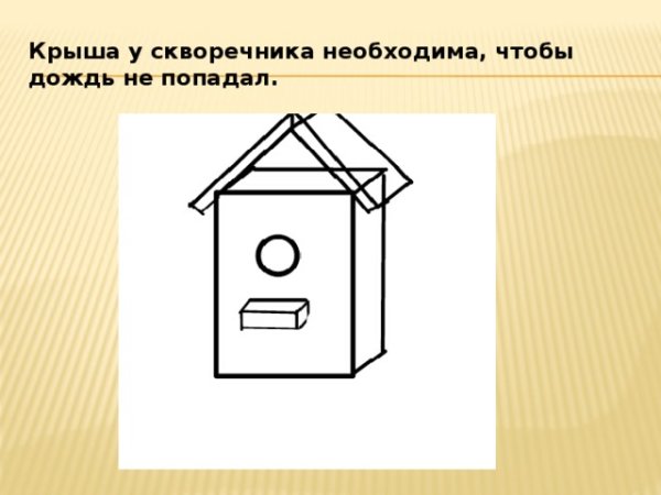 Пошаговое рисование скворца для детей