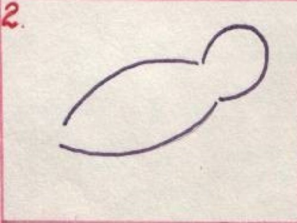 Этапы рисования скворца