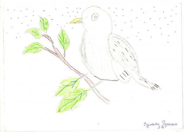 Рисование гуашью скворец