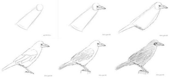 Скворцы прилетели рисунок