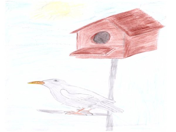 Схема рисования перелетных птиц в старшей группе