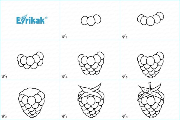 Нарисовать малину поэтапно