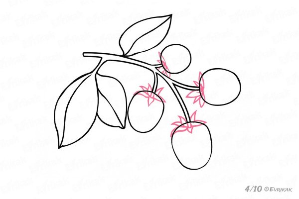 Поэтапное рисование ежевика