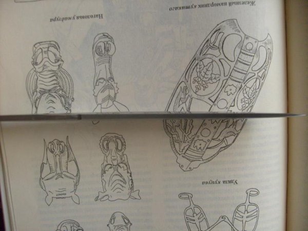 Кабуто рисунок простой в ц