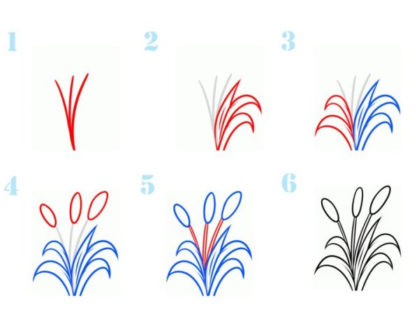 Нарисовать камыш поэтапно