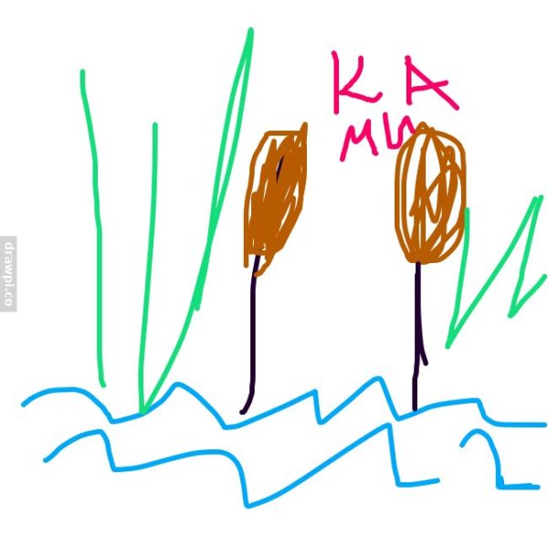 Камыш рисунок пошагово