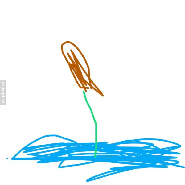 Как рисовать камыш