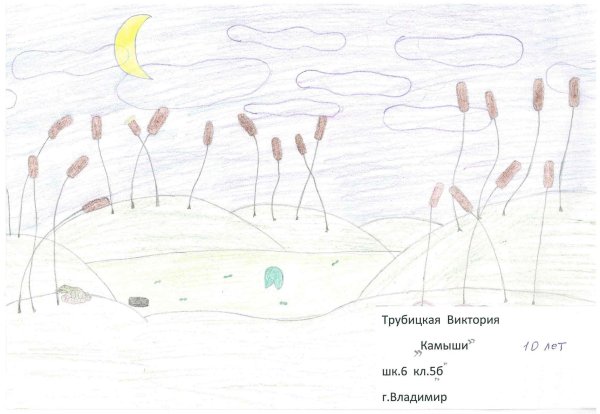 Бальмонт к. д. - камыши