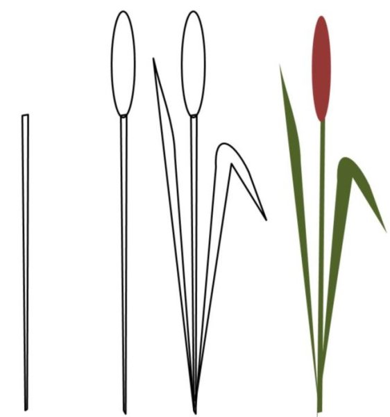 Камыши карандашом