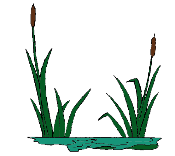 Камыши мультяшные
