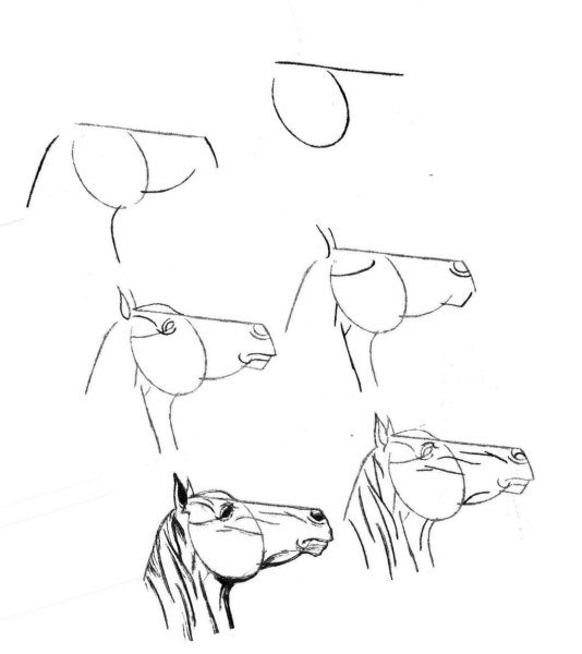 Поэтапные рисунки карандашом для начинающих