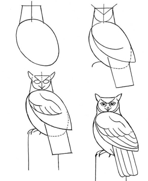 Схема рисования Совы