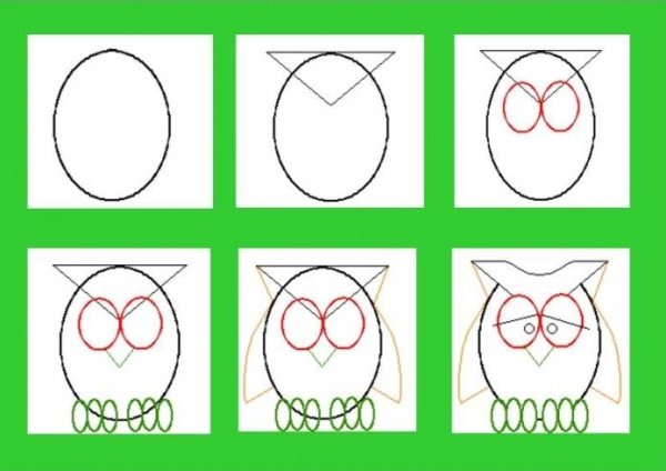 Поэтапное рисование Совы карандашом