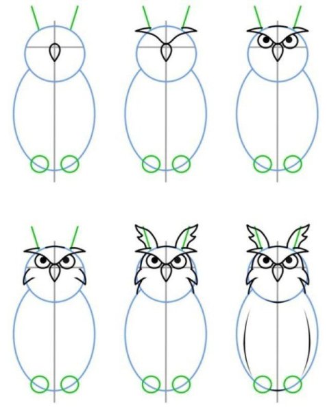 Поэтапное рисование Совы