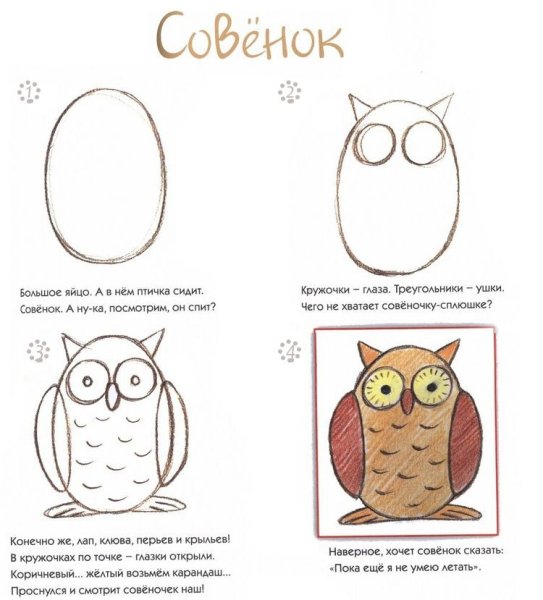 Поэтапное рисование Совы карандашом