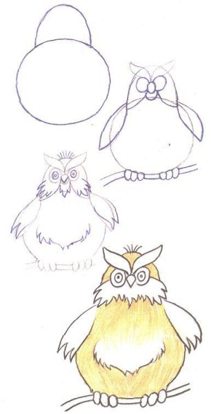 Рисунок Совы для срисовки поэтапно