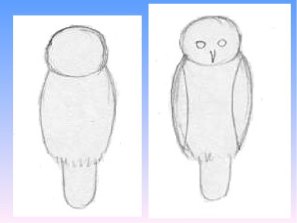 Нарисовать Филина карандашом поэтапно